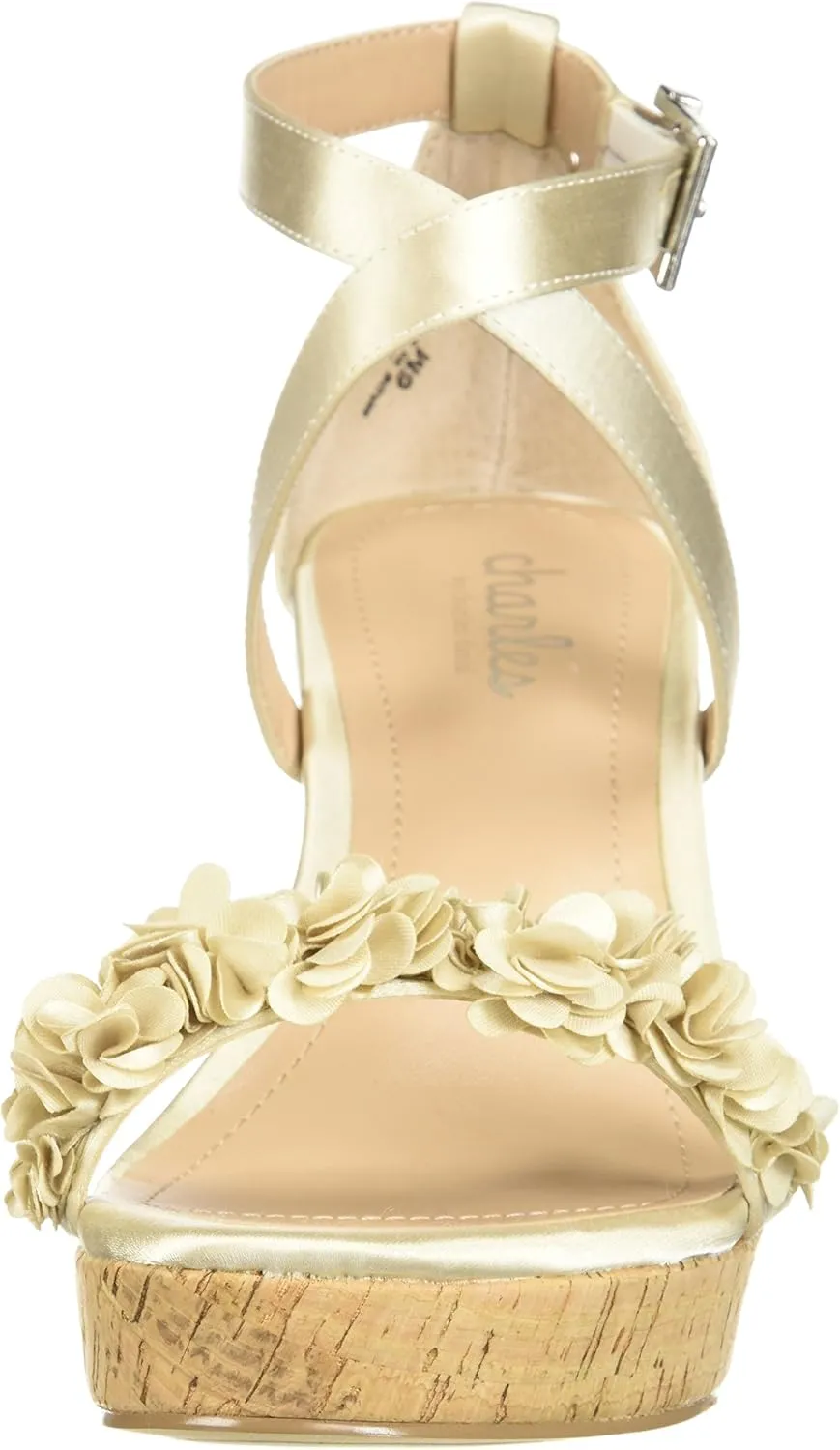 Charles by Charles David Women's Lauryn Wedge Sandal