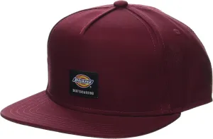 Dickies mens Skateboarding Mid Pro Cap