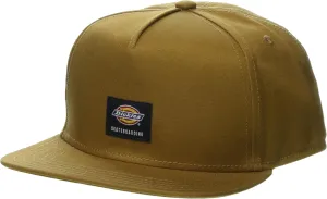 Dickies mens Skateboarding Mid Pro Cap
