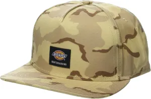 Dickies mens Skateboarding Mid Pro Cap