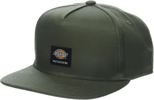 Dickies mens Skateboarding Mid Pro Cap