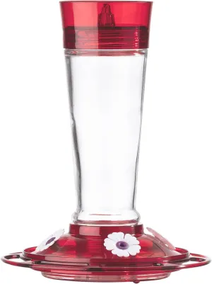 More Birds Bird Health  Ruby Hummingbird Feeder, Glass Hummingbird Feeders for Outdoors, 4 Feeding Stations, 10 Ounces, Ruby Red