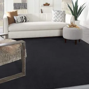 Nourison Essentials Indoor/Outdoor Black 8' x 10' Area Rug, Easy Cleaning, Non Shedding, Bed Room, Living Room, Dining Room, Backyard, Deck, Patio (8x10)