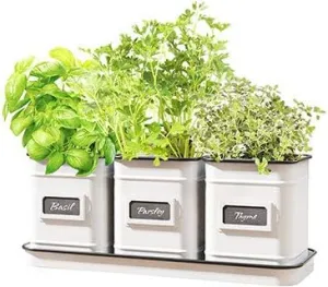 Panacea Bci Panacea Milkhouse Tray and Planters 6IN