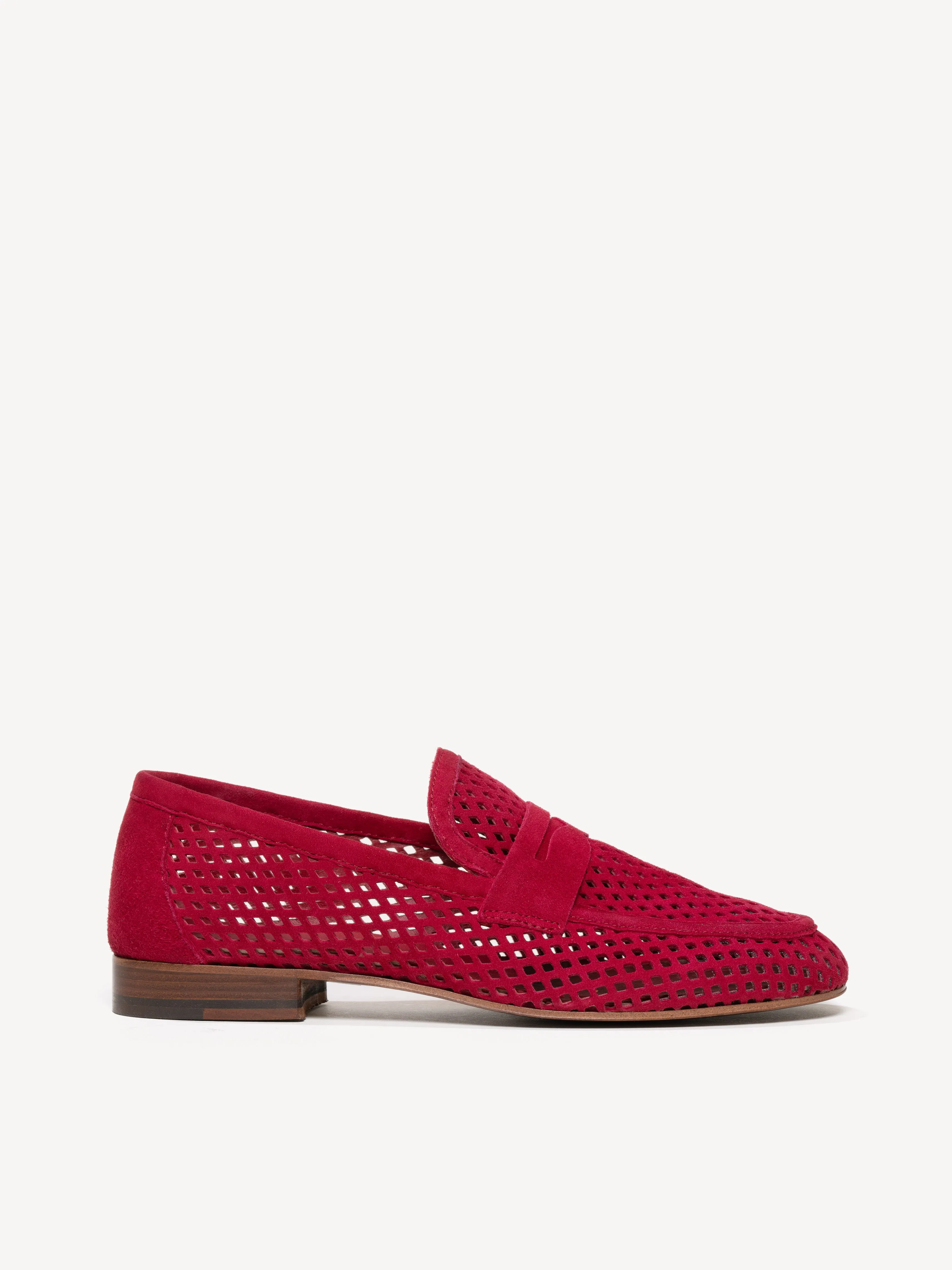 The Sacca Donna Lattice