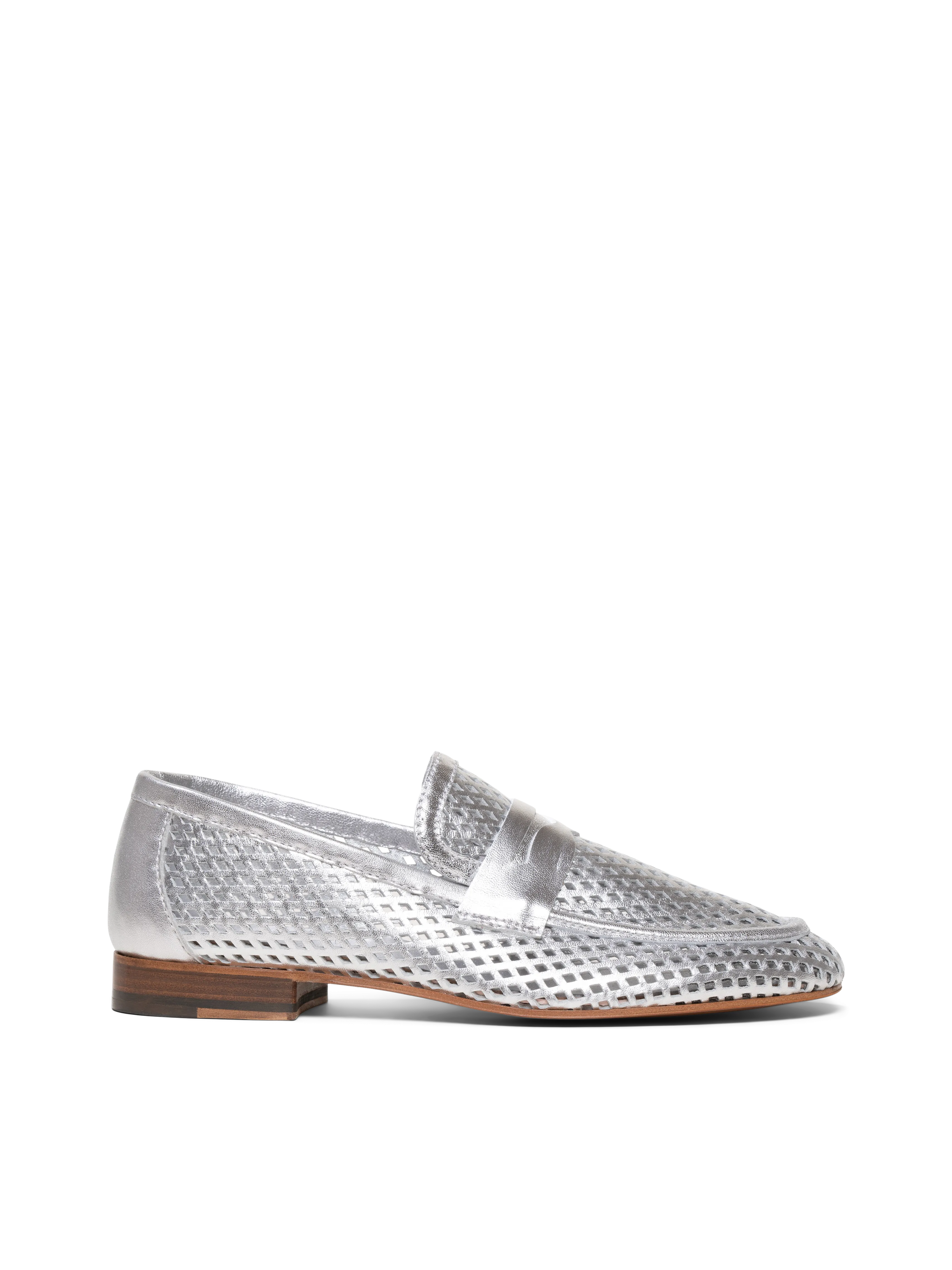 The Sacca Donna Lattice