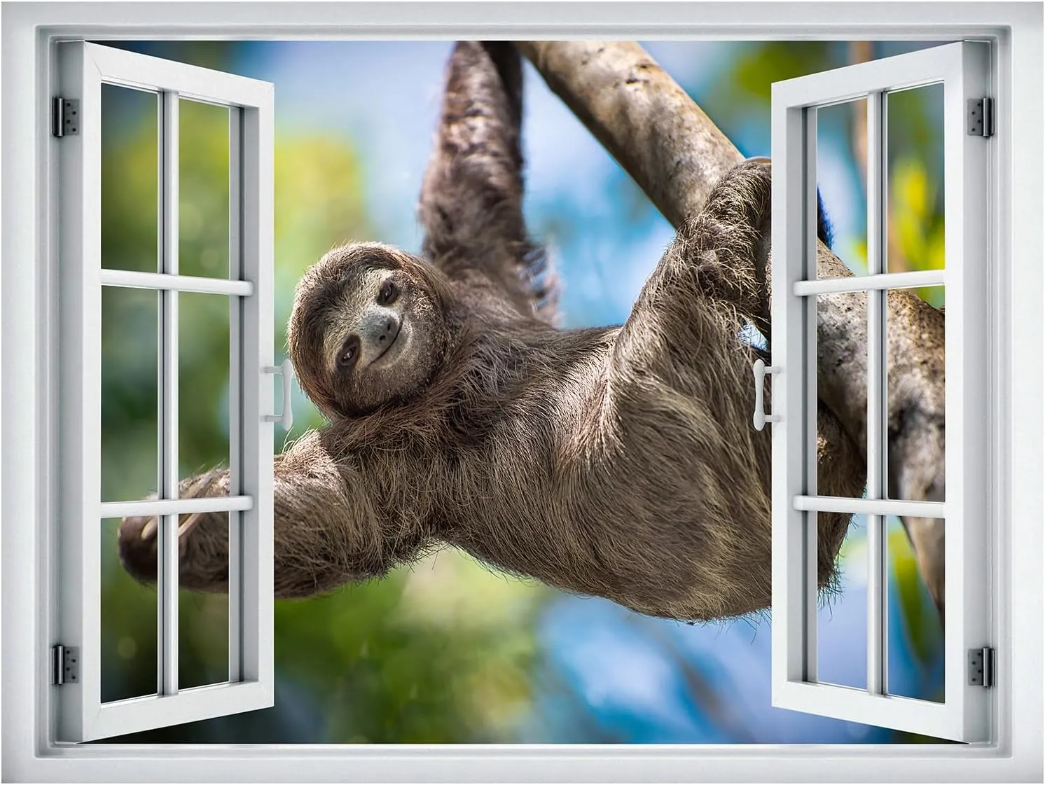 wall26 Removable Wall Sticker/Wall Mural Window View Tropical Jungle Tree Brown Sloth Animals Nature Photography Realism Wildlife Wilderness Portrait for Living Room, Bedroom, Office - 24"x32"